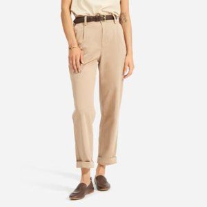 Everlane The Pleated Chino